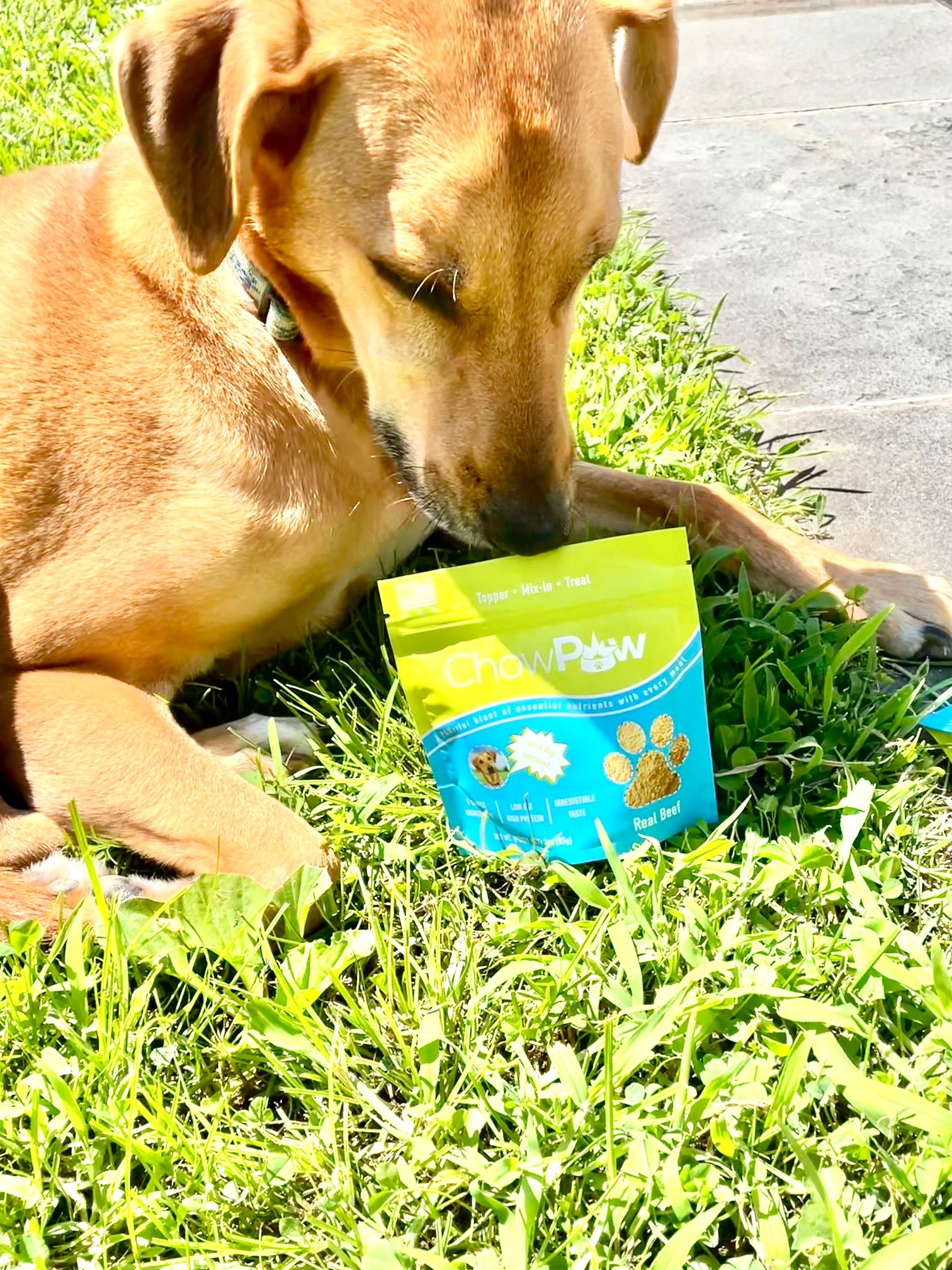 chowpow good dog approved shop food toppers for dogs